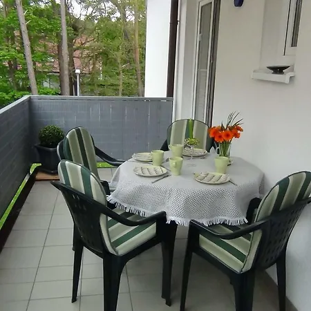 アパート Ferienwohnung Strandvogel ガガー